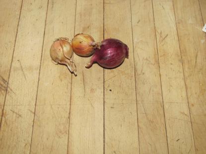 big onion little onion